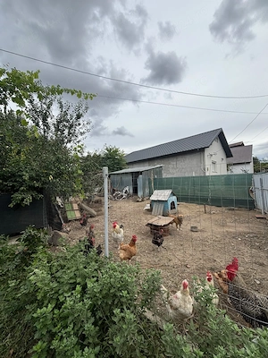 Casă de vânzare în Mineri, județul Tulcea - imagine 6