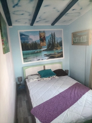 Casa in com Radovanu la40km de București  - imagine 5