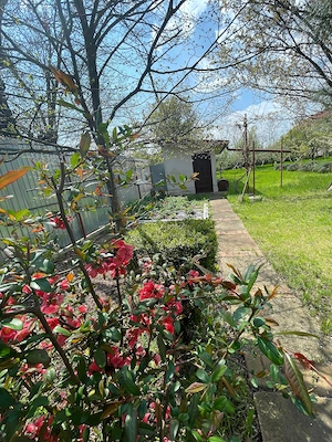 Casa de vanzare - Lilieci, Ialomita - imagine 2