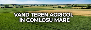 Proprietar vand teren agricol 3,34 Ha   - 4 parcele -   Comlosu Mare 8.000 EUR Ha