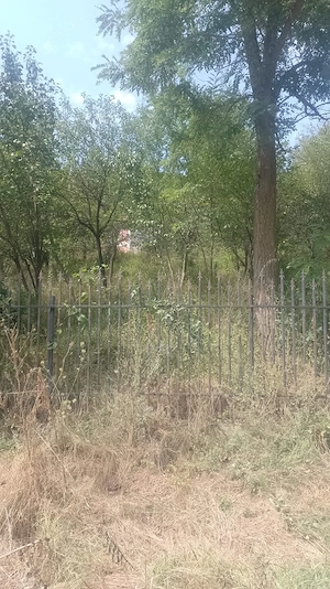 Vand casa zona de munte Buzau
