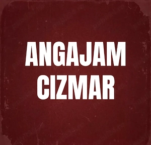  Angajam cizmar pentru atelier de reparatii incaltaminte  - imagine 2