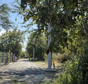 Teren Bolintin-Vale Intravilan UTILITATI URBANSIM