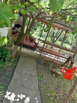 Casa mare cu Livada sat Cojocna jud Cluj  - imagine 8