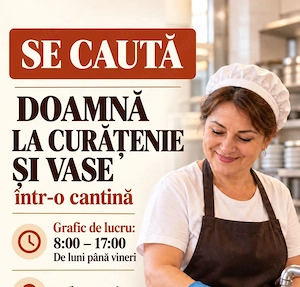 Se caută doamne la curatenie