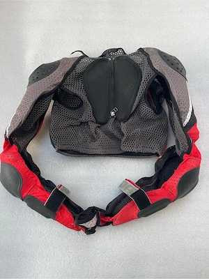 Armura moto Dainese 