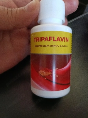  Dezinfectant apă acvarii, Promedivet, Tripaflavin 100ml - imagine 2
