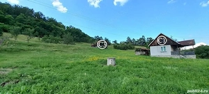 Vând Proprietate la Valea Bradului, Mun. Brad, Jud. Hunedoara, formată din 14368 mp teren și clădiri - imagine 3