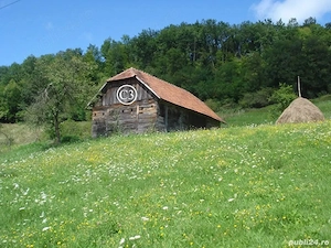 Vând Proprietate la Valea Bradului, Mun. Brad, Jud. Hunedoara, formată din 14368 mp teren și clădiri - imagine 6