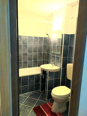 Apartament 2 camere de închiriat   zona Lenin  - imagine 4