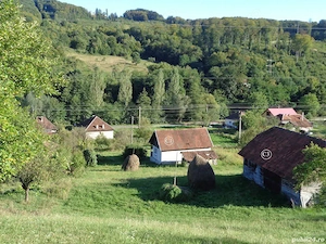 Vând Proprietate la Valea Bradului, Mun. Brad, Jud. Hunedoara, formată din 14368 mp teren și clădiri - imagine 5