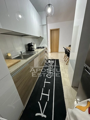Apartament cu 2 camere de vanzare , Terasa de 71 mp, Torontalului - imagine 7