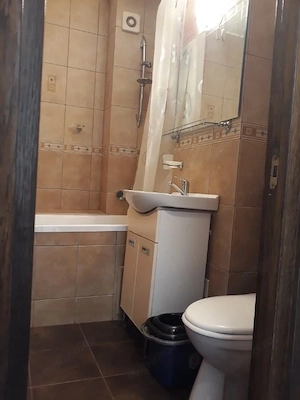 Apartament cu 2 camere de închiriat în zona Iulius Mall - imagine 3