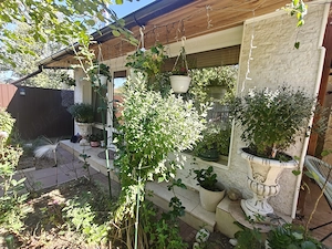 Vând sau schimb cu apartament 