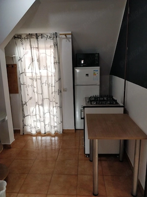 Apartament 2 camere in Bună Ziua, Cluj-Napoca  - imagine 4