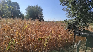 Teren de vânzare  - excelent pentru investiție sau o proprietate într-un cadru natural deosebit! - imagine 5