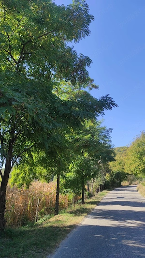 Teren de vânzare  - excelent pentru investiție sau o proprietate într-un cadru natural deosebit! - imagine 6