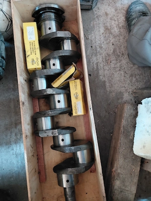arbore u 650
