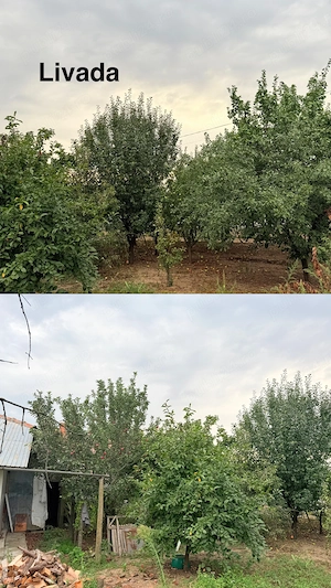 Casă de vânzare(casă + curte): 1.031 mp, în Negoești, com. Soldanu, jud. Călărași (aprox 40 km Buc) - imagine 3