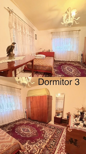 Casă de vânzare(casă + curte): 1.031 mp, în Negoești, com. Soldanu, jud. Călărași (aprox 40 km Buc) - imagine 8