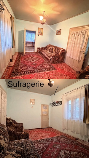 Casă de vânzare(casă + curte): 1.031 mp, în Negoești, com. Soldanu, jud. Călărași (aprox 40 km Buc) - imagine 10