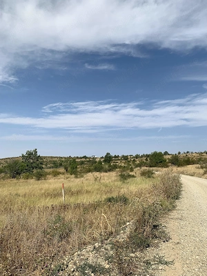 Teren intravilan (923mp) și extravilan (304mp) Total. 1.227 mp, Săldăbagiu de Munte, Paleu - imagine 3