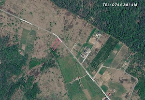 Teren intravilan (923mp) și extravilan (304mp) Total. 1.227 mp, Săldăbagiu de Munte, Paleu