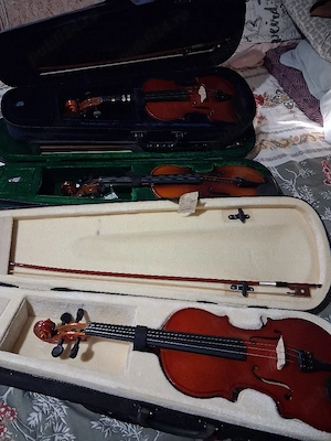 De vânzare 3 viori ,1 4,1 3,4 4