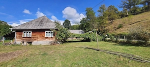  Teren drept 2.845 mp în Bârsana, ideal investiție agro-turistică restaurant.  - imagine 5