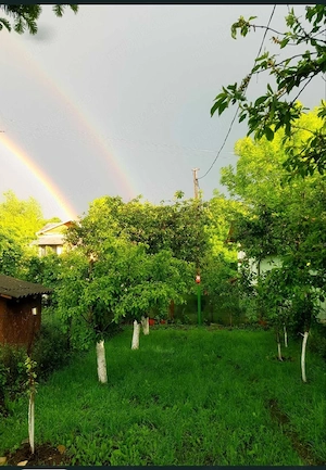 Casă in Breaza de Sus, ultracentral, 2 camere, teren 376 mp-78.000   (negociabil) - imagine 5