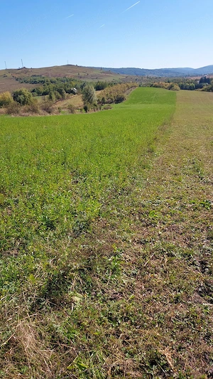 Teren extravilan Drajna de Sus zona Stanesti