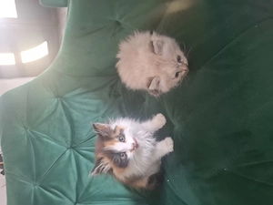 Cel mai frumos cadou cu o inimă mare
