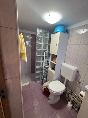 Casa 2 camere P+M zona 3 Insule - imagine 8
