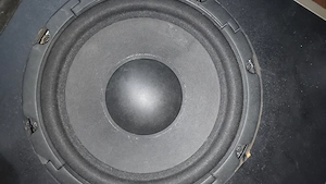 Dau woofer jbl CS80SUB 230 la schimb pe alta boxa difuzorul merge dar amplificatorul din spapornește