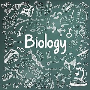 Materie Biologie