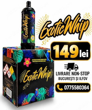Butelie Exotic Whip 670G Baloane, Petreceri | Livrare NON-STOP