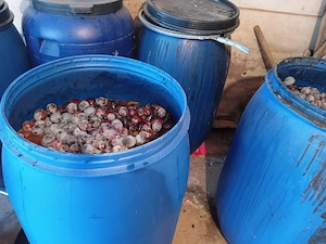 Esenta de prune disponibila