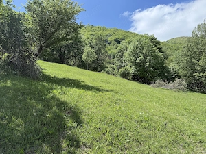 Vând teren în zona montană  - imagine 4