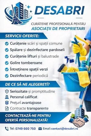Curatenie profesionala 