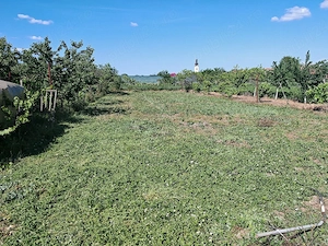 Casă de vânzare, comuna Pesac - imagine 4