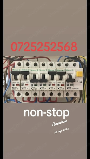 Servicii  electrice 