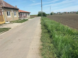 Casă cu 3 camere și curte mare - imagine 4