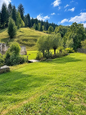 Vând teren superb în Rucăr 