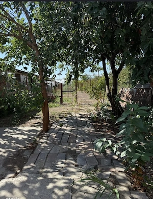  Casa de vânzare comuna 1 decembrie ilfov  - imagine 6