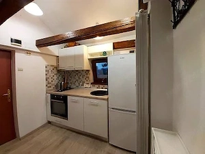 Garsoniera cocheta in Piata Victoriei + spatiu depozitare de inchiriat - imagine 2