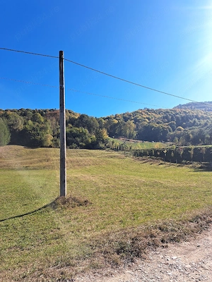 10.500m2 teren extravilan Râșnov  - imagine 2