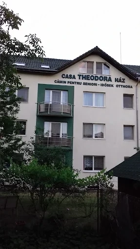 Căminul pentru persoane vârstnice Casa Theodora își mărește echipa!