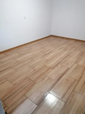 2 Case si teren de vanzare in Comuna VARTOP DOLJ - imagine 6
