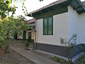 2 Case si teren de vanzare in Comuna VARTOP DOLJ - imagine 2