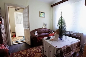 Proprietate cu poziție excelentă și acces direct la strada Bogdan Voievod - imagine 7